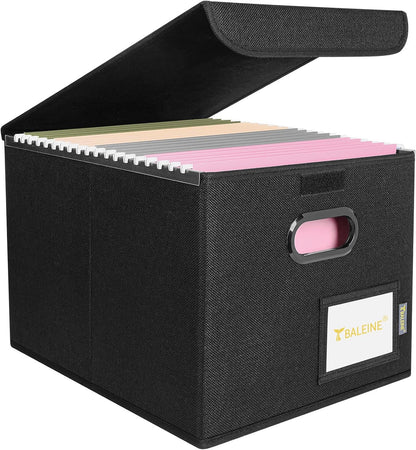 BALEINE File Organizer Box with Lid, Collapsible File Folder Organizer with Plastic Slide, Hanging File Folder Box for Office Document Storage (Black)