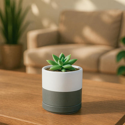 D'vine Dev 4.7 Inch Ceramic Planter Pot with Drainage Hole and Saucer, Indoor Cylinder Round Planter Pot, Teal, 94-O-B-9