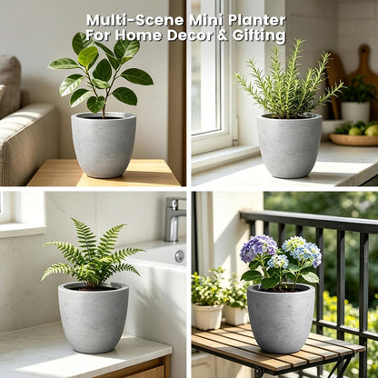 Kante 8.9" H x 10" W Small Concrete Planter, Compact Desktop Plant Pot with Drainage Hole & Rubber Plug – Lightweight Breathable Cement Container for Succulents, Cactus, Herbs, Indoor Outdoor, Gift