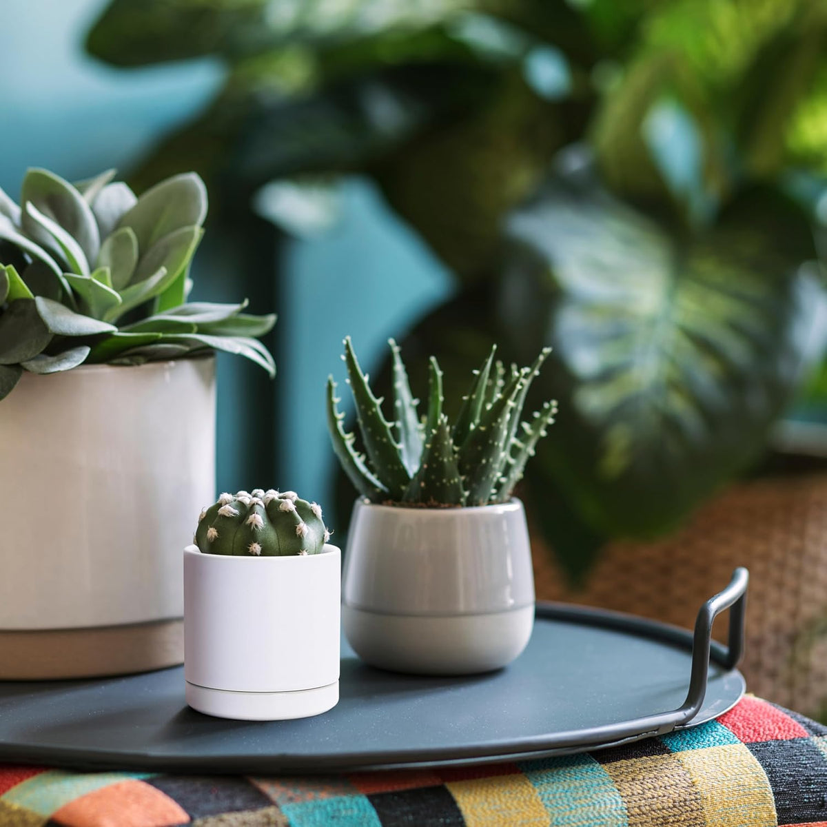 D'vine Dev 4.7 Inch Ceramic Planter Pot with Drainage Hole and Saucer, Indoor Cylinder Round Planter Pot, Teal, 94-O-B-9