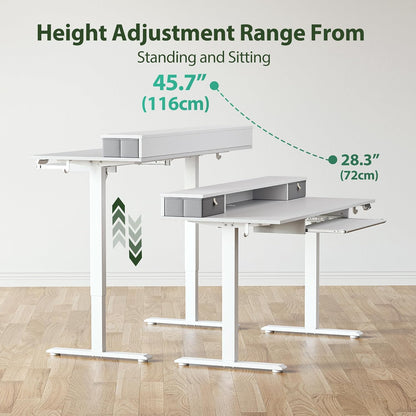48 * 24 Inch Electric Standing Desk with Shelf & Led, Dark Walnut