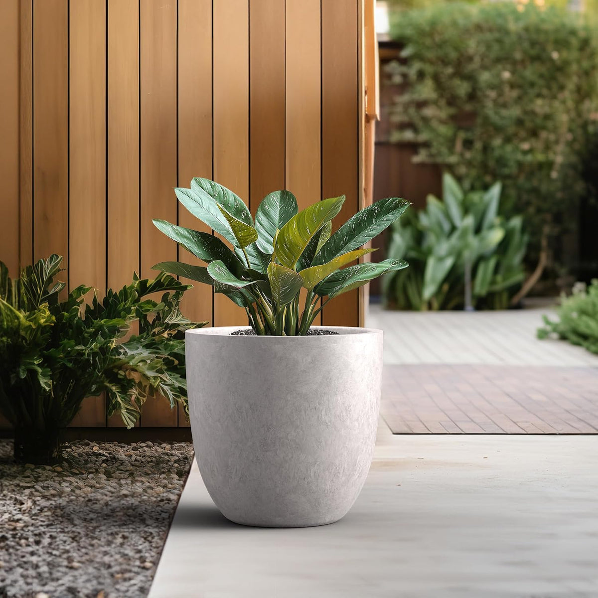 Kante 8.9" H x 10" W Small Concrete Planter, Compact Desktop Plant Pot with Drainage Hole & Rubber Plug – Lightweight Breathable Cement Container for Succulents, Cactus, Herbs, Indoor Outdoor, Gift