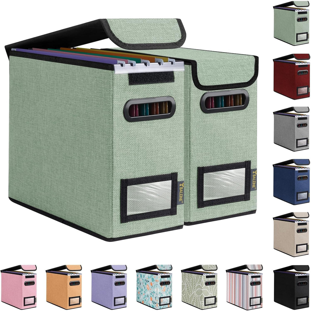 BALEINE File Organizer Box with Lid, Collapsible File Folder Organizer with Plastic Slide, Hanging File Folder Box for Office Document Storage (Black)