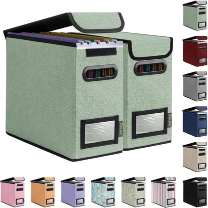 BALEINE File Organizer Box with Lid, Collapsible File Folder Organizer with Plastic Slide, Hanging File Folder Box for Office Document Storage (Black)