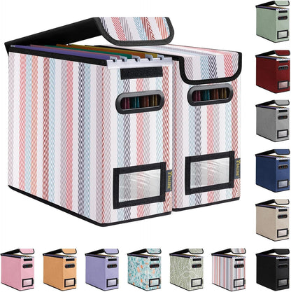 BALEINE File Organizer Box with Lid, Collapsible File Folder Organizer with Plastic Slide, Hanging File Folder Box for Office Document Storage (Black)