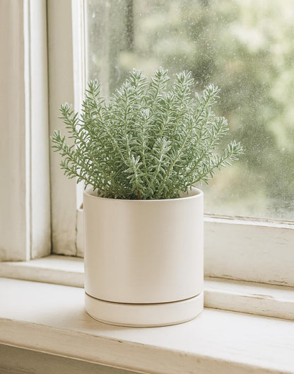 D'vine Dev 4.7 Inch Ceramic Planter Pot with Drainage Hole and Saucer, Indoor Cylinder Round Planter Pot, Teal, 94-O-B-9