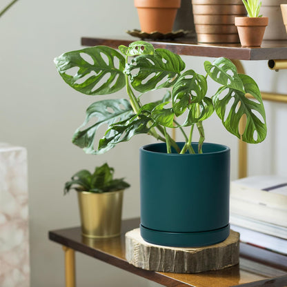 D'vine Dev 4.7 Inch Ceramic Planter Pot with Drainage Hole and Saucer, Indoor Cylinder Round Planter Pot, Teal, 94-O-B-9