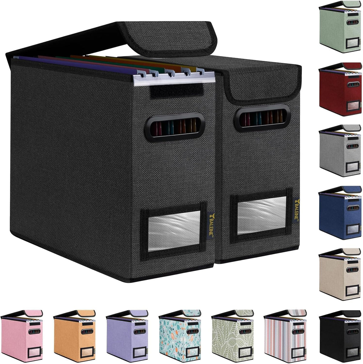 BALEINE File Organizer Box with Lid, Collapsible File Folder Organizer with Plastic Slide, Hanging File Folder Box for Office Document Storage (Black)