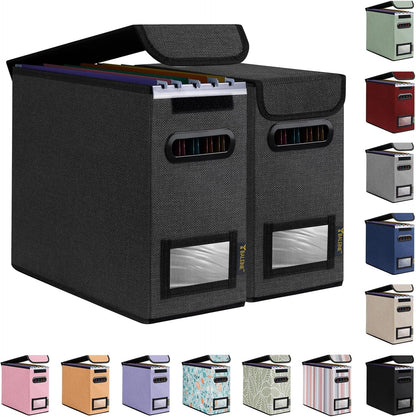 BALEINE File Organizer Box with Lid, Collapsible File Folder Organizer with Plastic Slide, Hanging File Folder Box for Office Document Storage (Black)
