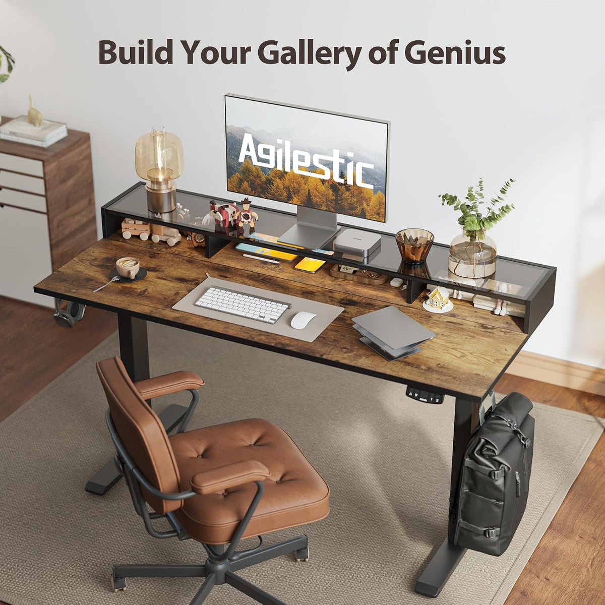 48 * 24 Inch Electric Standing Desk with Shelf & Led, Dark Walnut