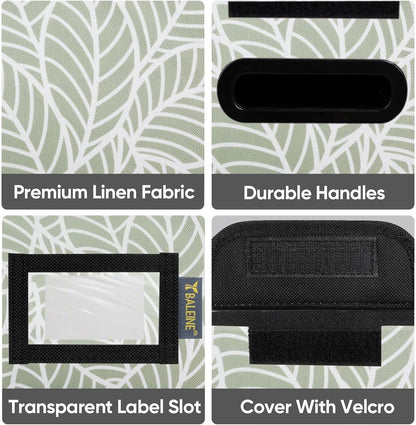 BALEINE File Organizer Box with Lid, Collapsible File Folder Organizer with Plastic Slide, Hanging File Folder Box for Office Document Storage (Black)