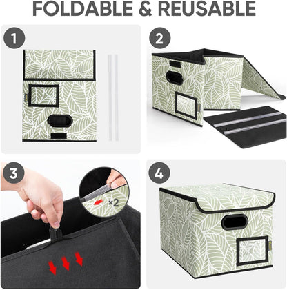 BALEINE File Organizer Box with Lid, Collapsible File Folder Organizer with Plastic Slide, Hanging File Folder Box for Office Document Storage (Black)