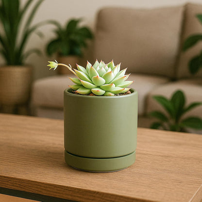 D'vine Dev 4.7 Inch Ceramic Planter Pot with Drainage Hole and Saucer, Indoor Cylinder Round Planter Pot, Teal, 94-O-B-9