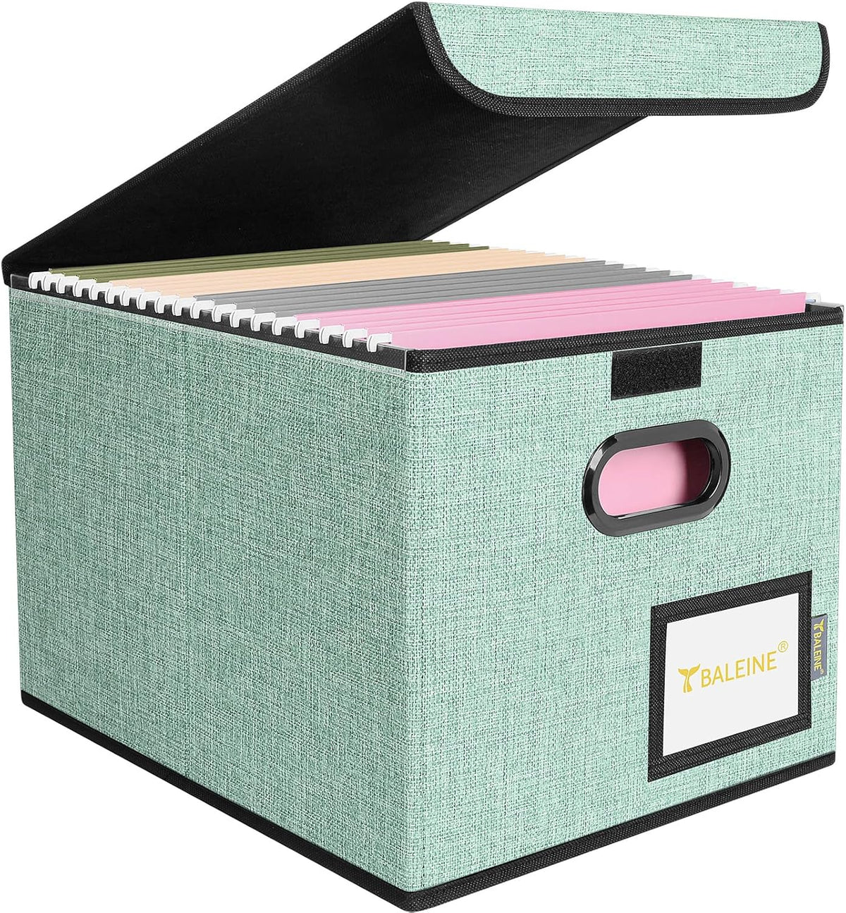 BALEINE File Organizer Box with Lid, Collapsible File Folder Organizer with Plastic Slide, Hanging File Folder Box for Office Document Storage (Black)