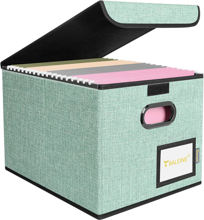 BALEINE File Organizer Box with Lid, Collapsible File Folder Organizer with Plastic Slide, Hanging File Folder Box for Office Document Storage (Black)