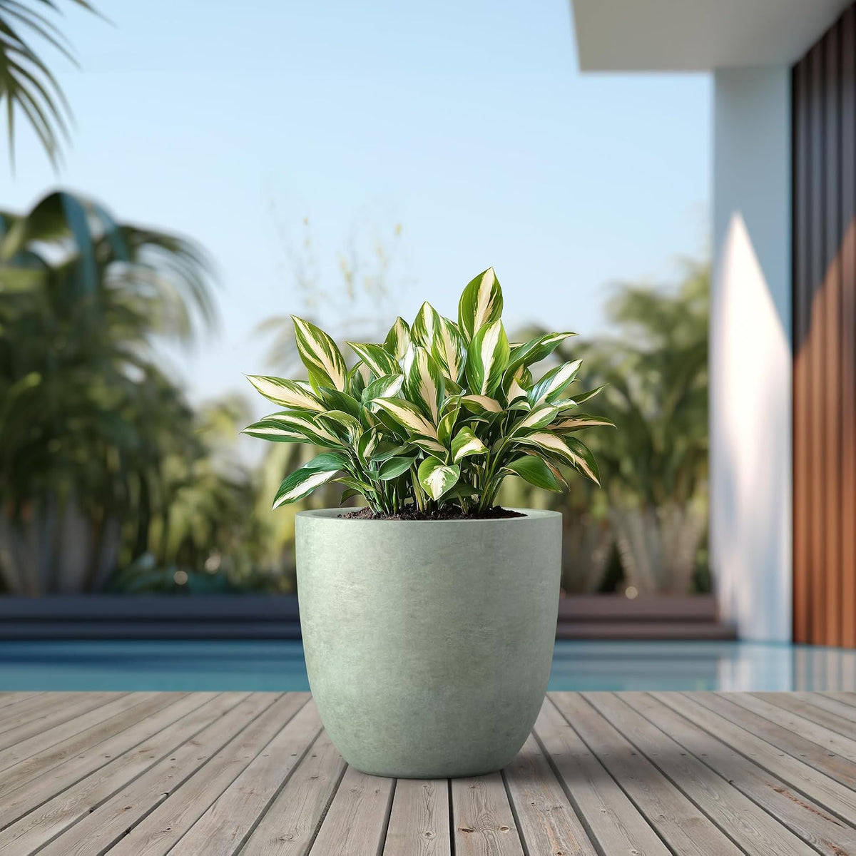 Kante 8.9" H x 10" W Small Concrete Planter, Compact Desktop Plant Pot with Drainage Hole & Rubber Plug – Lightweight Breathable Cement Container for Succulents, Cactus, Herbs, Indoor Outdoor, Gift