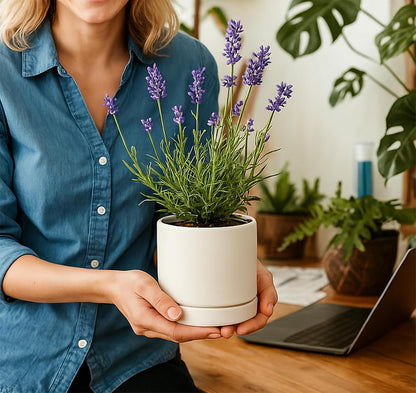 D'vine Dev 4.7 Inch Ceramic Planter Pot with Drainage Hole and Saucer, Indoor Cylinder Round Planter Pot, Teal, 94-O-B-9