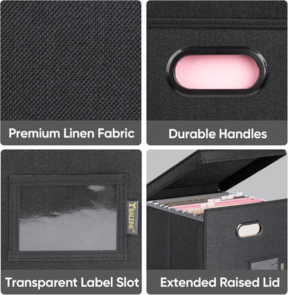 BALEINE File Organizer Box with Lid, Collapsible File Folder Organizer with Plastic Slide, Hanging File Folder Box for Office Document Storage (Black)