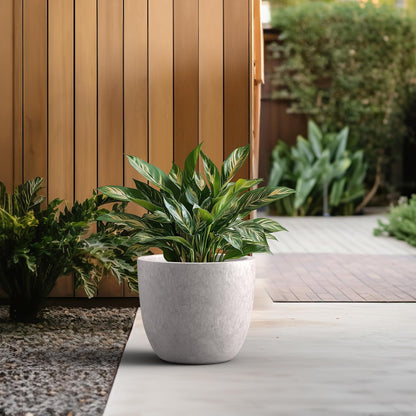 Kante 8.9" H x 10" W Small Concrete Planter, Compact Desktop Plant Pot with Drainage Hole & Rubber Plug – Lightweight Breathable Cement Container for Succulents, Cactus, Herbs, Indoor Outdoor, Gift
