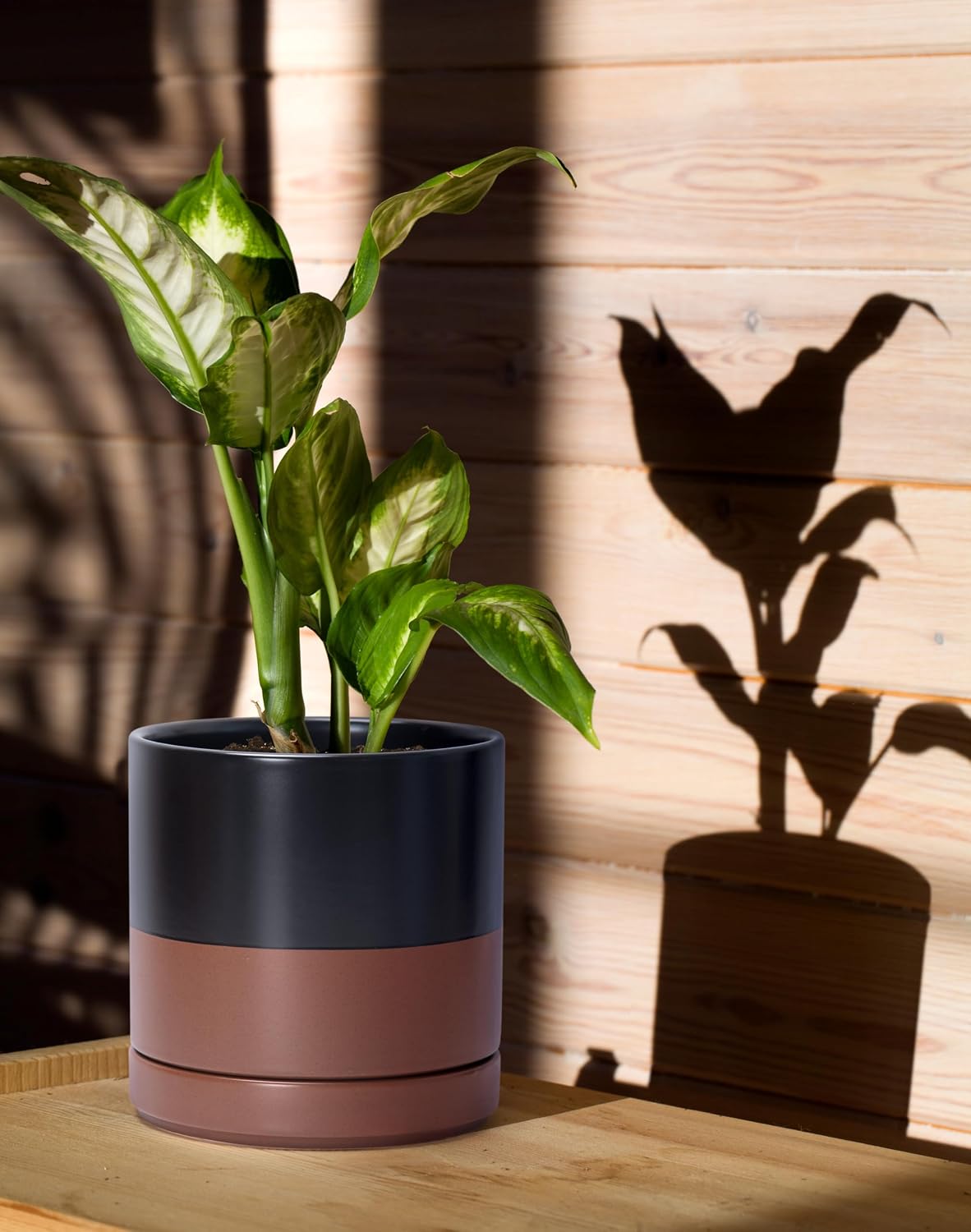 D'vine Dev 4.7 Inch Ceramic Planter Pot with Drainage Hole and Saucer, Indoor Cylinder Round Planter Pot, Teal, 94-O-B-9