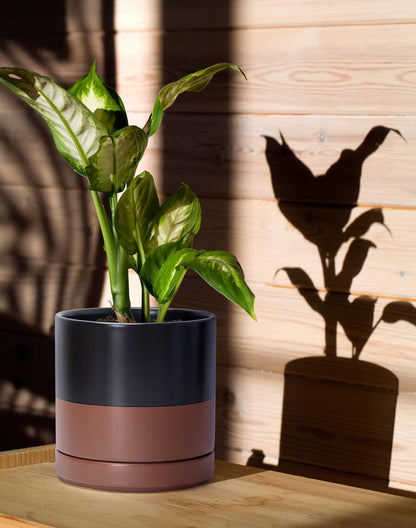 D'vine Dev 4.7 Inch Ceramic Planter Pot with Drainage Hole and Saucer, Indoor Cylinder Round Planter Pot, Teal, 94-O-B-9