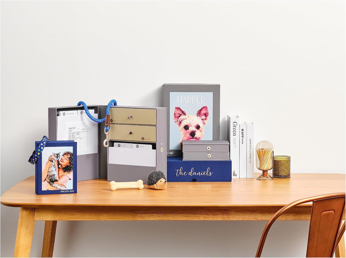 Savor | All-in-One Desk Organizer | Blue – Keep Desk, Office, and Home Organized All-in-One Storage System for Important Files, Documents, Stationery, and Office Supplies