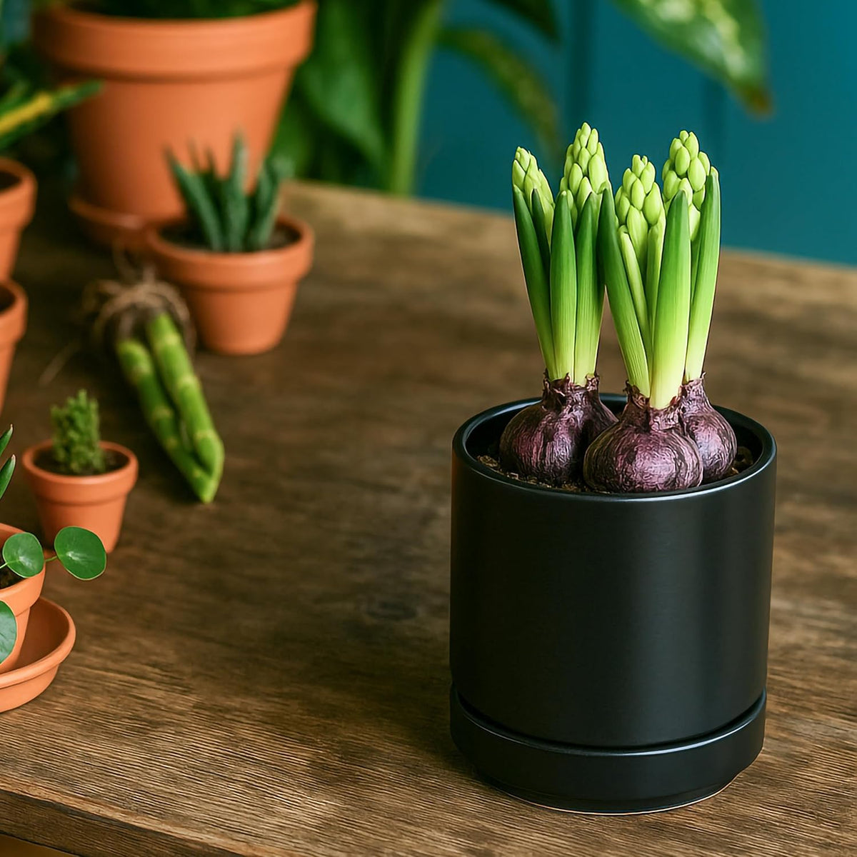 D'vine Dev 4.7 Inch Ceramic Planter Pot with Drainage Hole and Saucer, Indoor Cylinder Round Planter Pot, Teal, 94-O-B-9