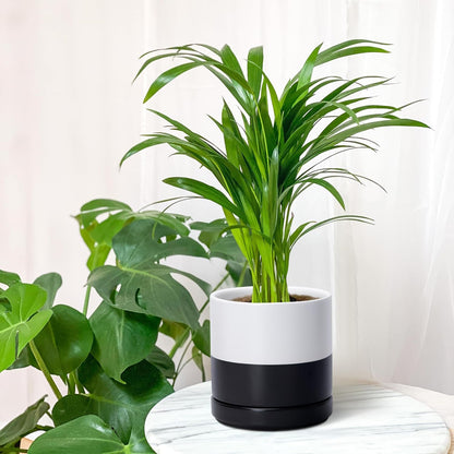 D'vine Dev 4.7 Inch Ceramic Planter Pot with Drainage Hole and Saucer, Indoor Cylinder Round Planter Pot, Teal, 94-O-B-9