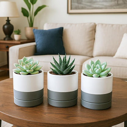 D'vine Dev 4.7 Inch Ceramic Planter Pot with Drainage Hole and Saucer, Indoor Cylinder Round Planter Pot, Teal, 94-O-B-9
