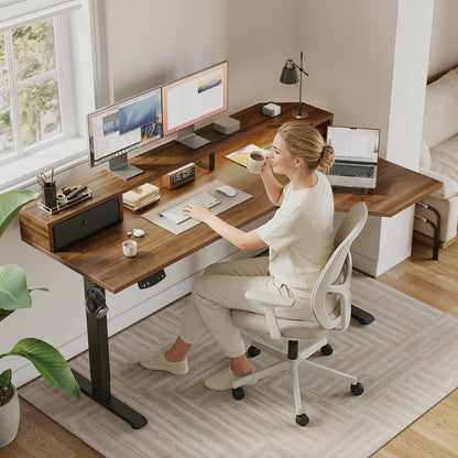 48 * 24 Inch Electric Standing Desk with Shelf & Led, Dark Walnut