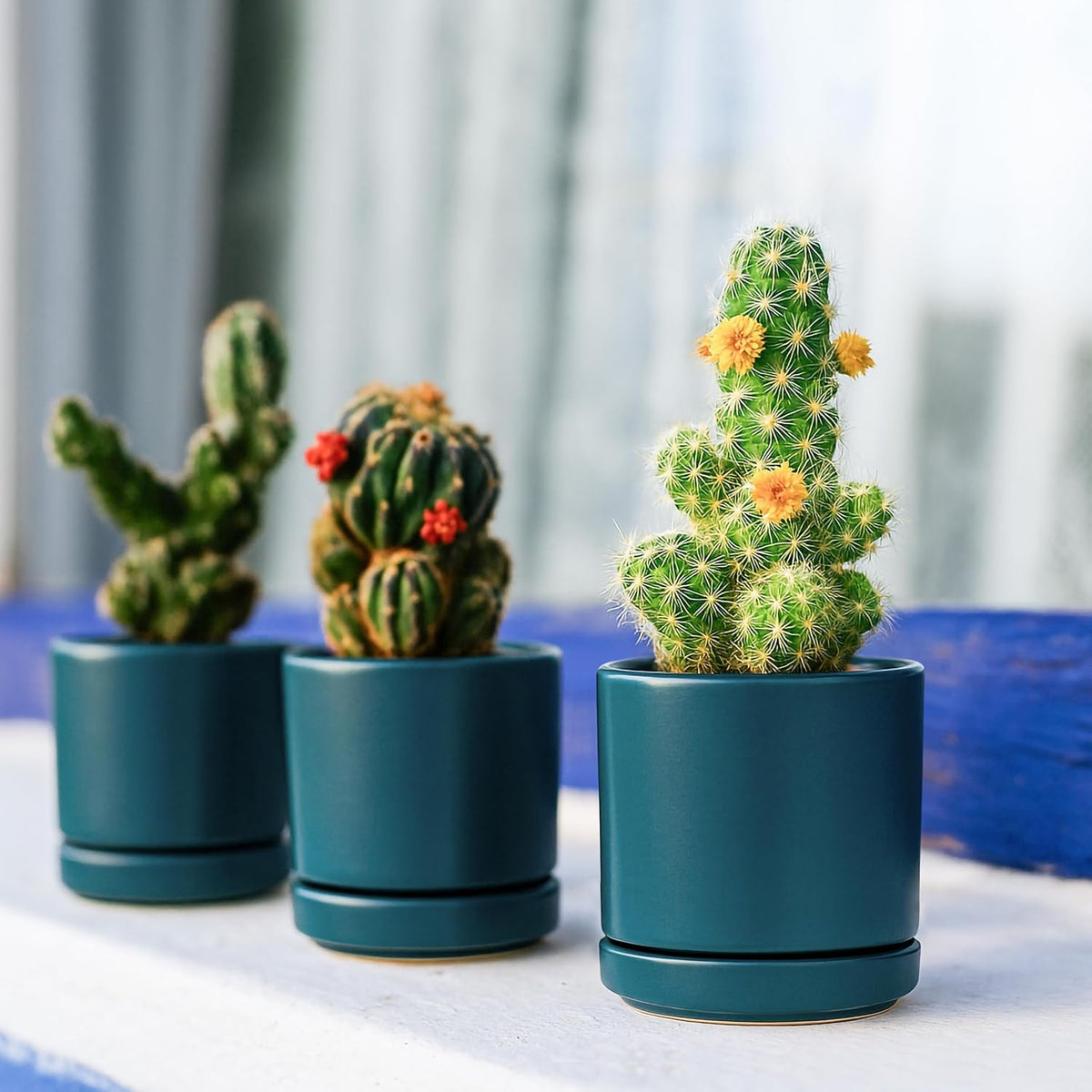 D'vine Dev 4.7 Inch Ceramic Planter Pot with Drainage Hole and Saucer, Indoor Cylinder Round Planter Pot, Teal, 94-O-B-9