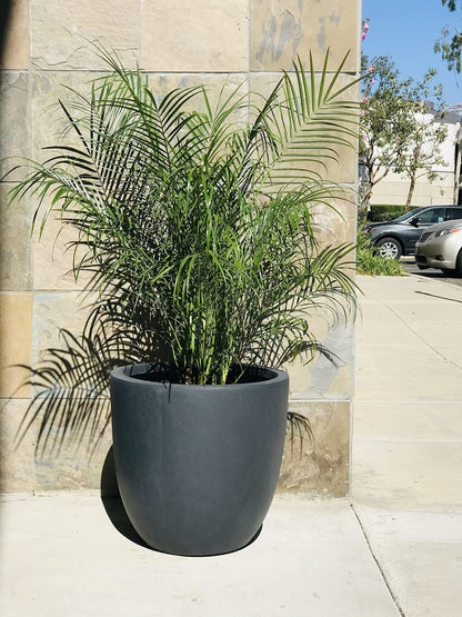 Kante 8.9" H x 10" W Small Concrete Planter, Compact Desktop Plant Pot with Drainage Hole & Rubber Plug – Lightweight Breathable Cement Container for Succulents, Cactus, Herbs, Indoor Outdoor, Gift
