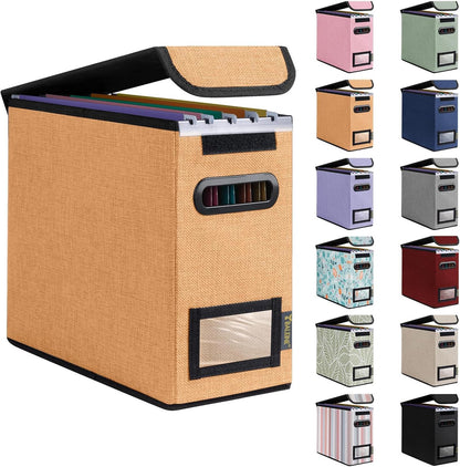 BALEINE File Organizer Box with Lid, Collapsible File Folder Organizer with Plastic Slide, Hanging File Folder Box for Office Document Storage (Black)