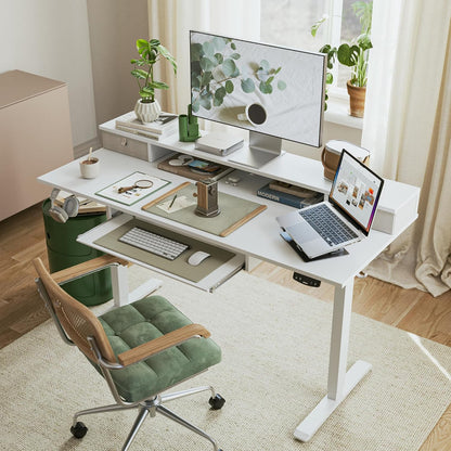 48 * 24 Inch Electric Standing Desk with Shelf & Led, Dark Walnut