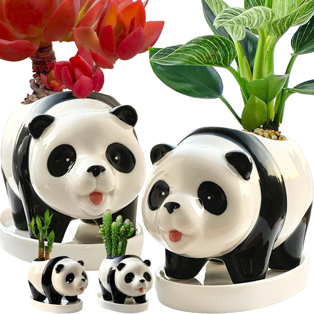 3.3” Mini Panda Ceramic Planter, Adorable Mini Indoor Plant Pot with Drainage Hole, Cute Animal Flower Pot for Succulents, Herbs, Small Desk Plant, Home Office Desk Decor
