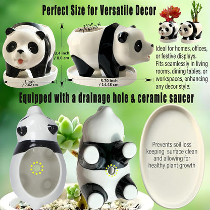3.3” Mini Panda Ceramic Planter, Adorable Mini Indoor Plant Pot with Drainage Hole, Cute Animal Flower Pot for Succulents, Herbs, Small Desk Plant, Home Office Desk Decor
