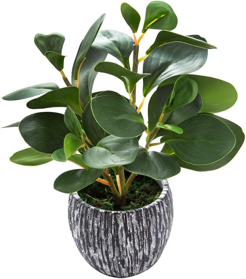 Fake Plants Potted Artificial Succulents Home Office Decor