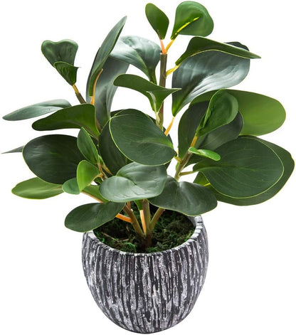 Fake Plants Potted Artificial Succulents Home Office Decor