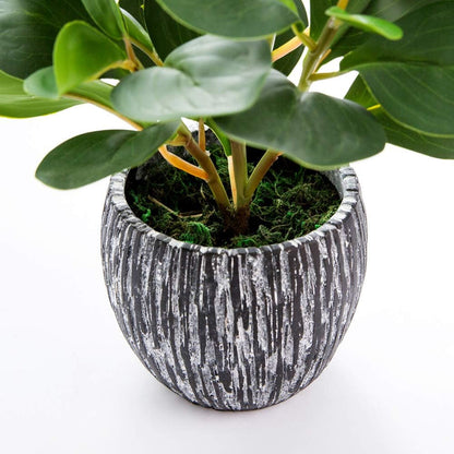 Fake Plants Potted Artificial Succulents Home Office Decor