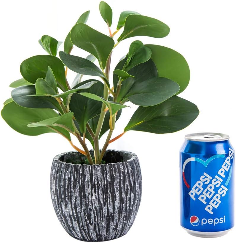 Fake Plants Potted Artificial Succulents Home Office Decor