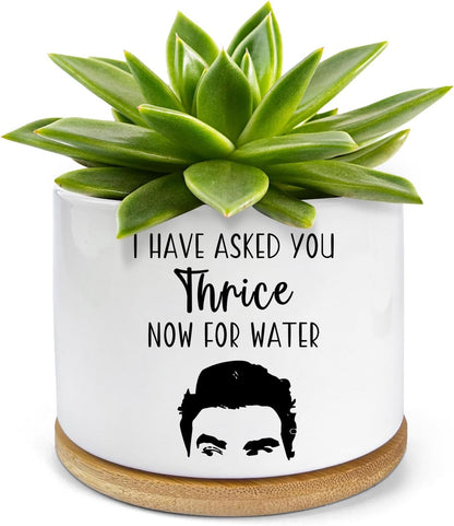 I Have Asked You Thrice Now for Water Ceramic Succulent Planter Pot, Funny Plants Pots Friends Merchandise Gifts, for Women Mom Grandma Plant Lovers Gifts - 3.5 inch(Plant Not Included)