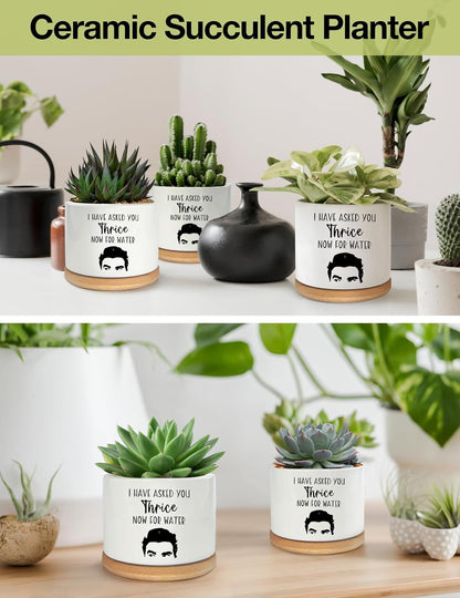 I Have Asked You Thrice Now for Water Ceramic Succulent Planter Pot, Funny Plants Pots Friends Merchandise Gifts, for Women Mom Grandma Plant Lovers Gifts - 3.5 inch(Plant Not Included)
