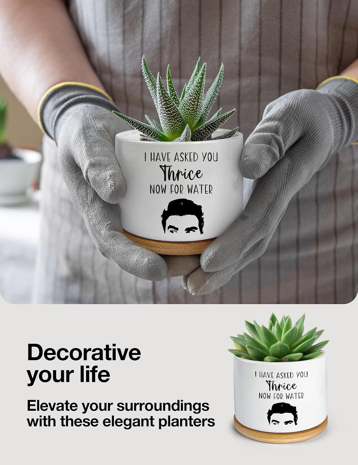 I Have Asked You Thrice Now for Water Ceramic Succulent Planter Pot, Funny Plants Pots Friends Merchandise Gifts, for Women Mom Grandma Plant Lovers Gifts - 3.5 inch(Plant Not Included)