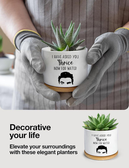 I Have Asked You Thrice Now for Water Ceramic Succulent Planter Pot, Funny Plants Pots Friends Merchandise Gifts, for Women Mom Grandma Plant Lovers Gifts - 3.5 inch(Plant Not Included)