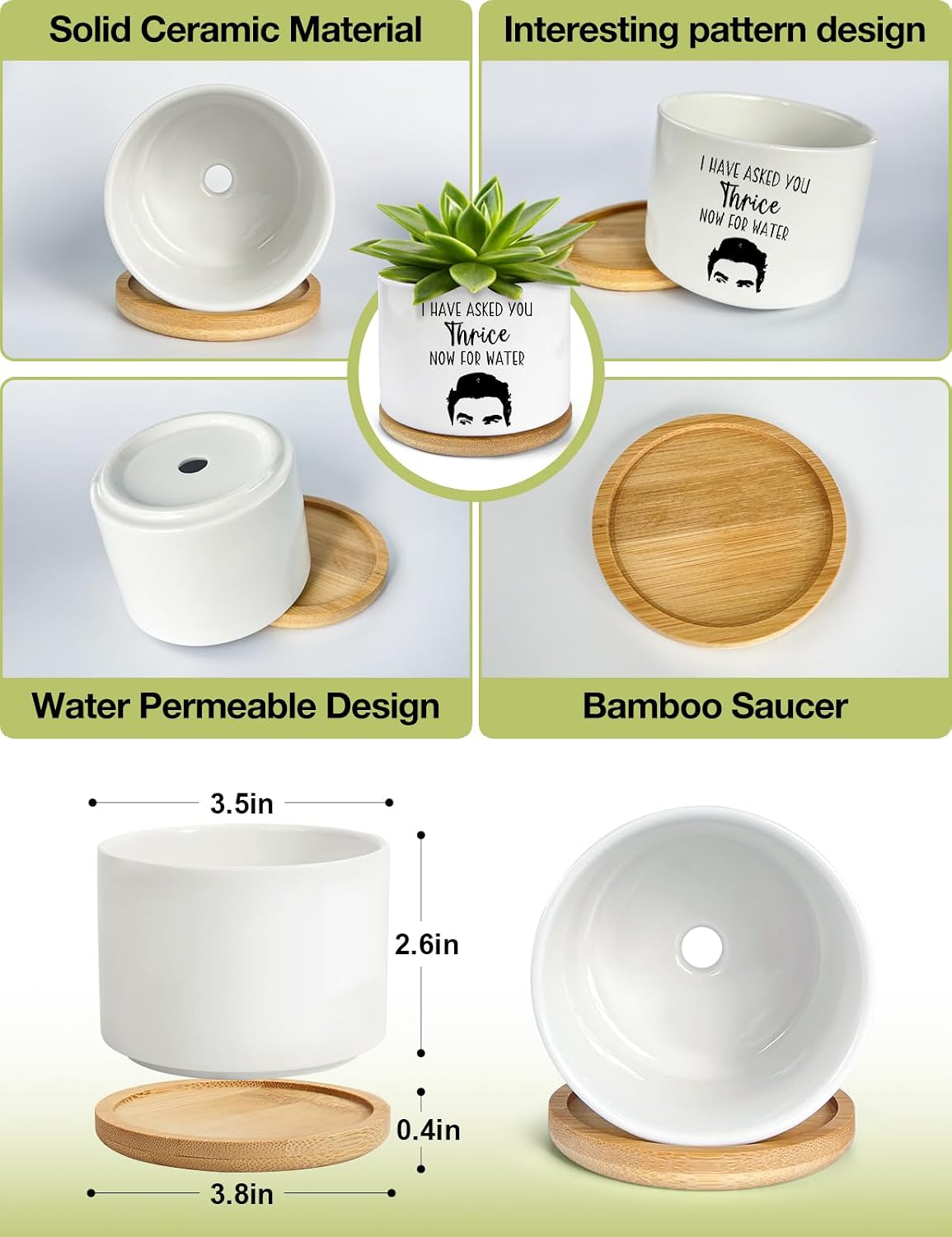 I Have Asked You Thrice Now for Water Ceramic Succulent Planter Pot, Funny Plants Pots Friends Merchandise Gifts, for Women Mom Grandma Plant Lovers Gifts - 3.5 inch(Plant Not Included)