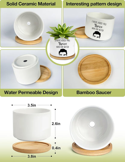 I Have Asked You Thrice Now for Water Ceramic Succulent Planter Pot, Funny Plants Pots Friends Merchandise Gifts, for Women Mom Grandma Plant Lovers Gifts - 3.5 inch(Plant Not Included)