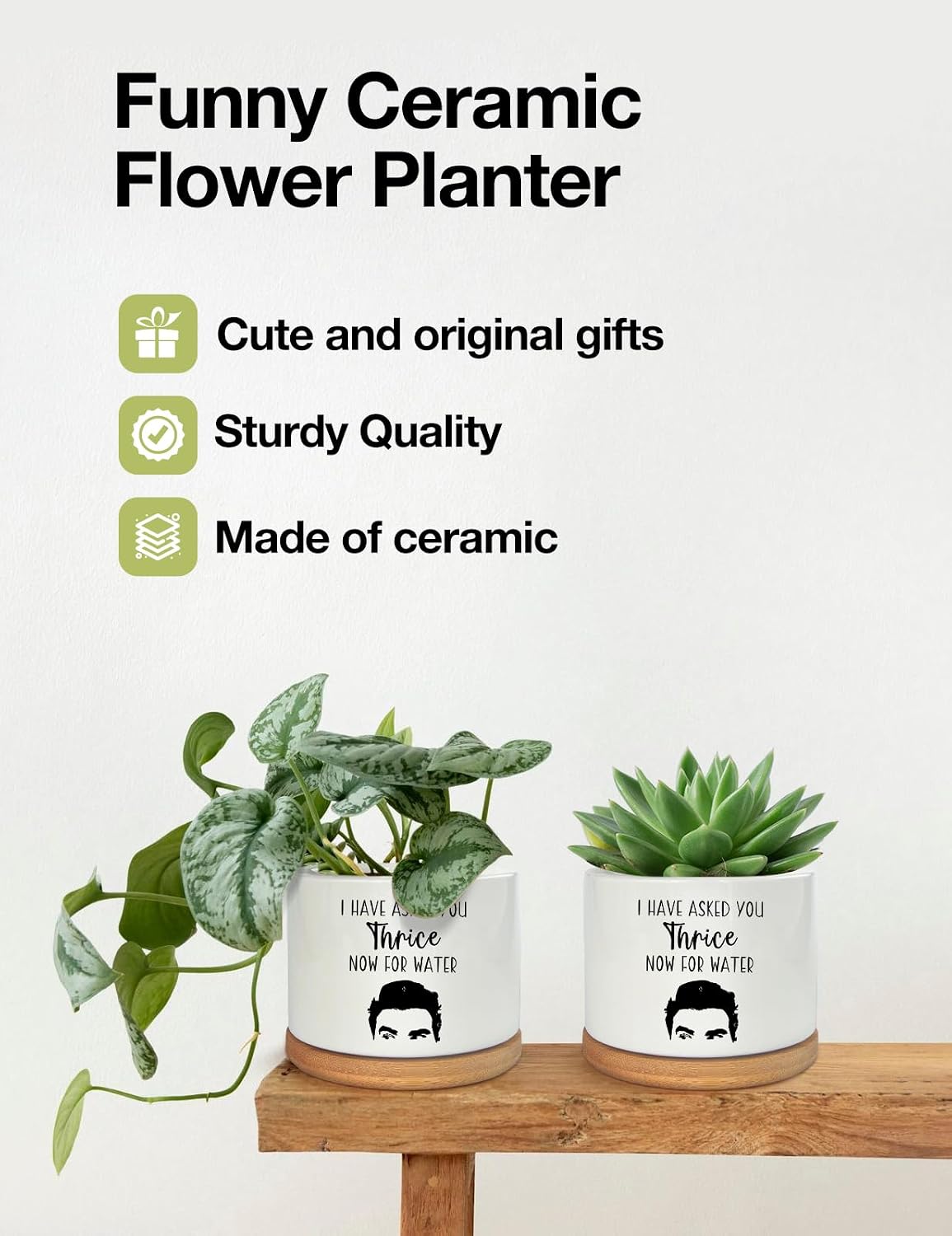 I Have Asked You Thrice Now for Water Ceramic Succulent Planter Pot, Funny Plants Pots Friends Merchandise Gifts, for Women Mom Grandma Plant Lovers Gifts - 3.5 inch(Plant Not Included)