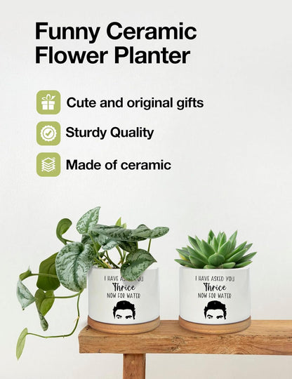 I Have Asked You Thrice Now for Water Ceramic Succulent Planter Pot, Funny Plants Pots Friends Merchandise Gifts, for Women Mom Grandma Plant Lovers Gifts - 3.5 inch(Plant Not Included)