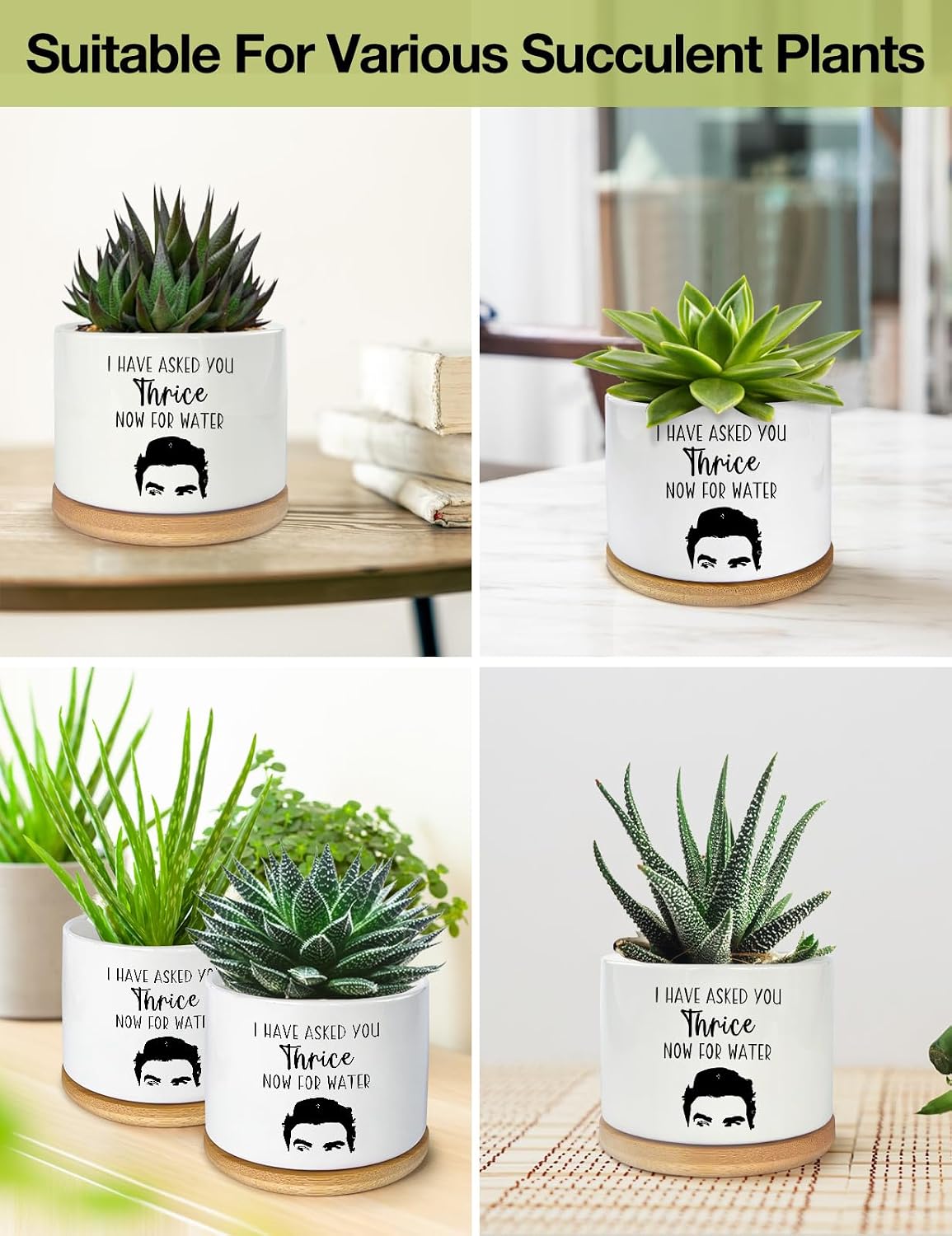 I Have Asked You Thrice Now for Water Ceramic Succulent Planter Pot, Funny Plants Pots Friends Merchandise Gifts, for Women Mom Grandma Plant Lovers Gifts - 3.5 inch(Plant Not Included)