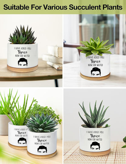I Have Asked You Thrice Now for Water Ceramic Succulent Planter Pot, Funny Plants Pots Friends Merchandise Gifts, for Women Mom Grandma Plant Lovers Gifts - 3.5 inch(Plant Not Included)